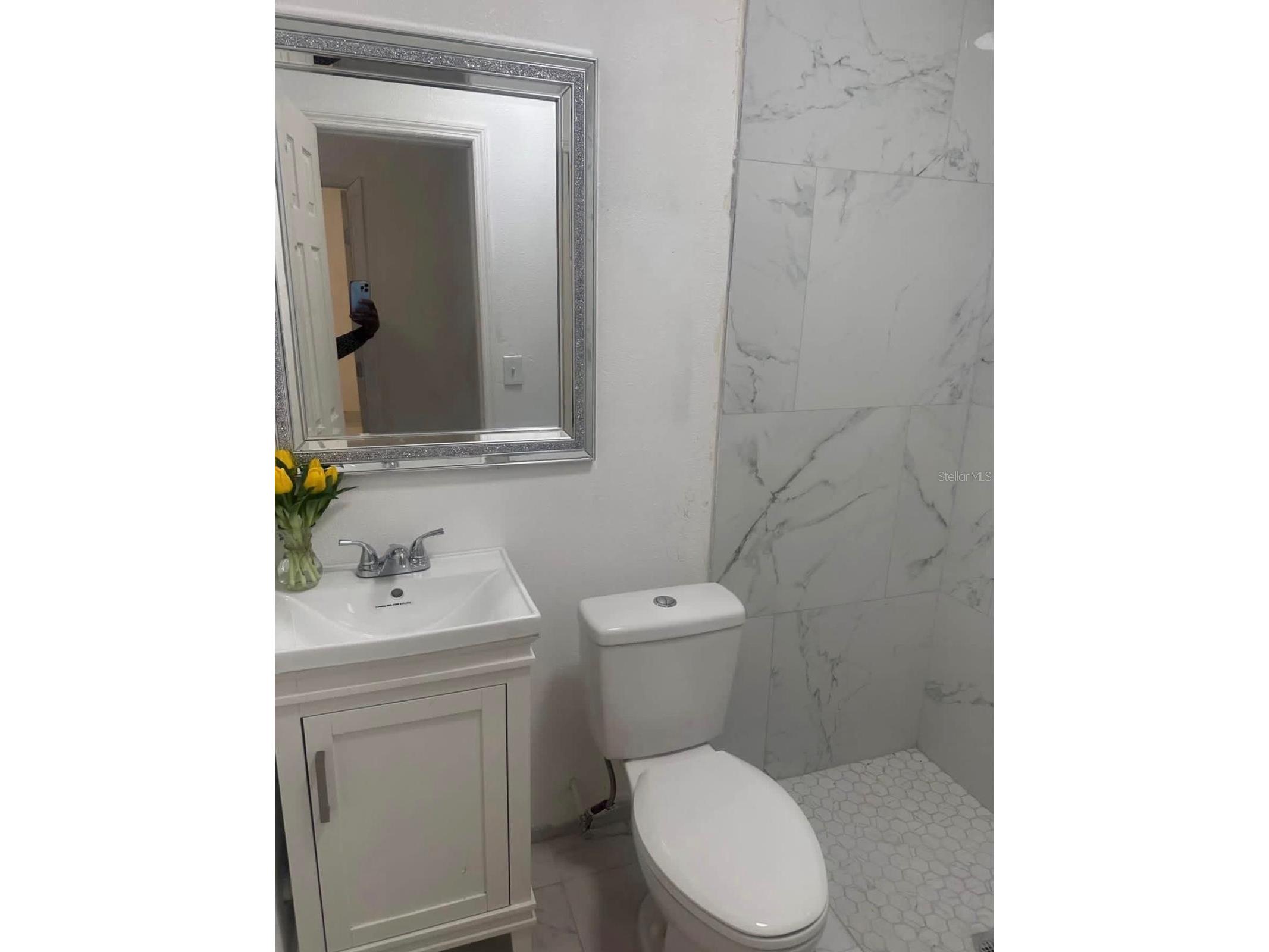 820 Galsworthy Avenue Orlando FL 32809 O6396277 image9