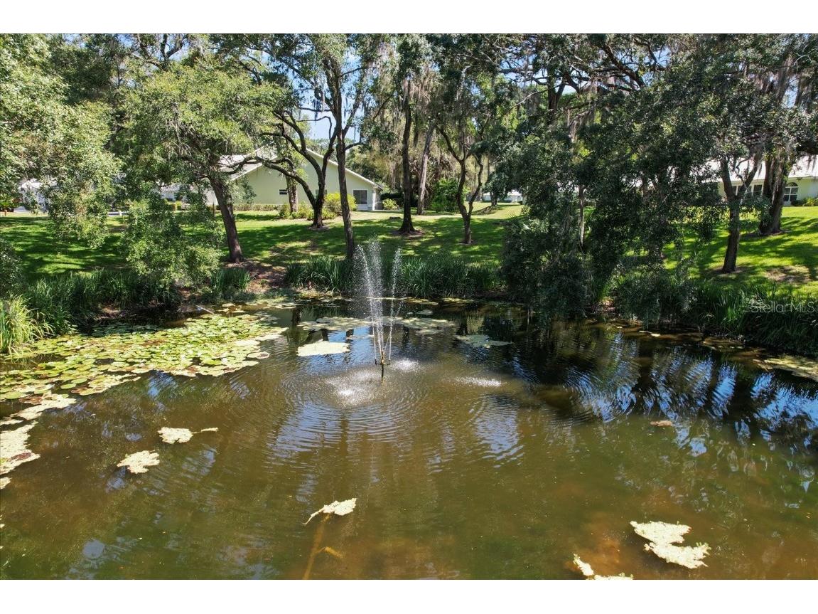 820 Inverie Drive Inverness FL 34453 T3531695 image4