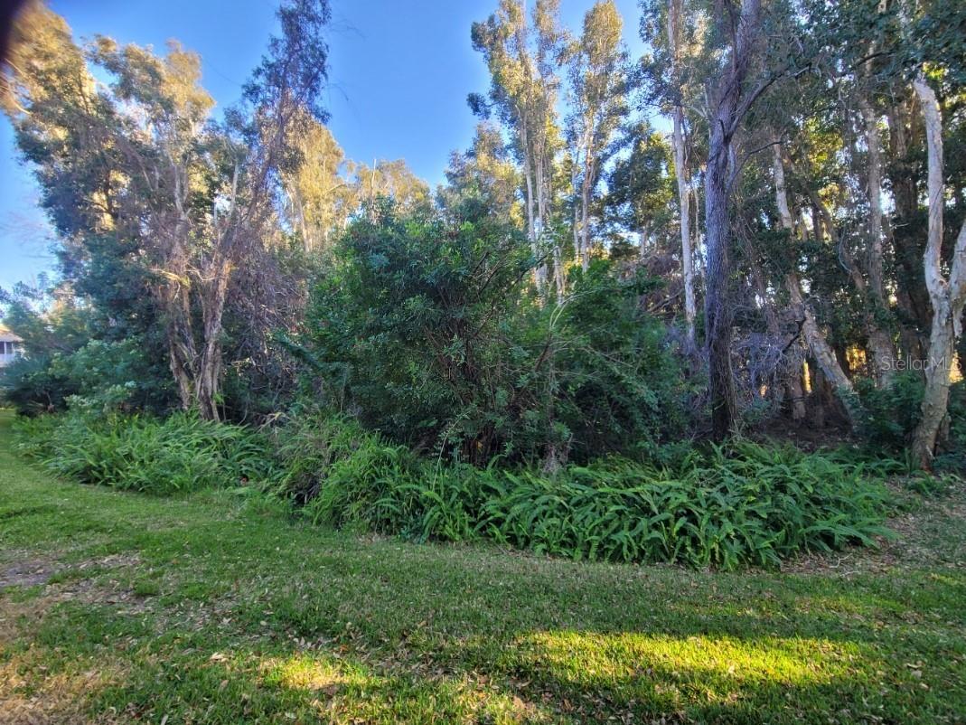 820 Lantern Way #101 Clearwater FL 33765 TB8479497 image34