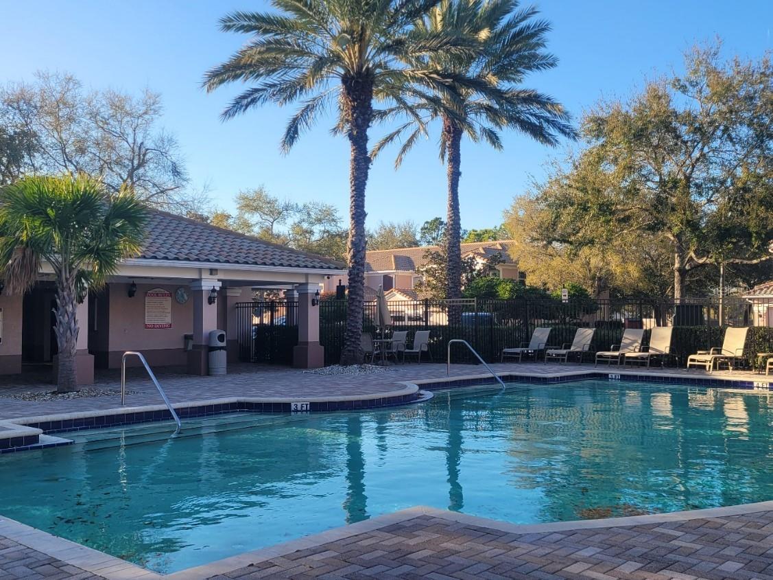 820 Lantern Way #101 Clearwater FL 33765 TB8479497 image39