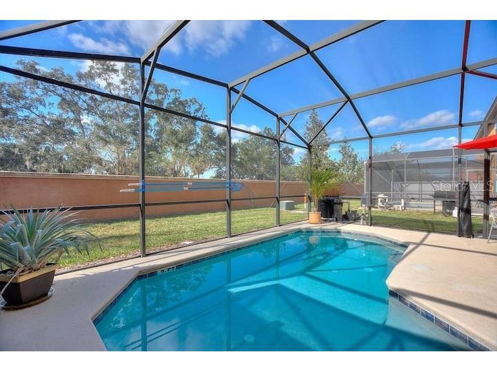 820 Las Fuentes Drive Kissimmee FL 34746 S5140328 image9