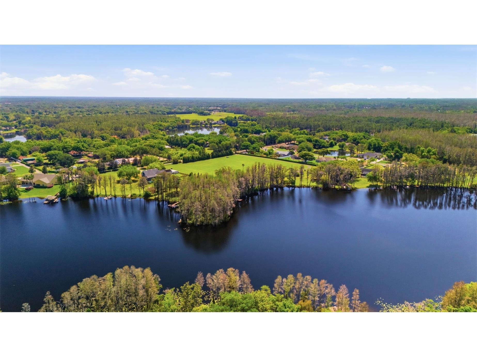 820 Newberger Road Lutz FL 33549 TB8497037 image39