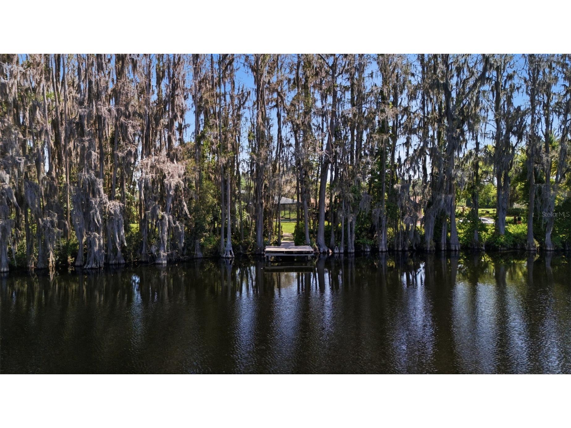 820 Newberger Road Lutz FL 33549 TB8497037 image9