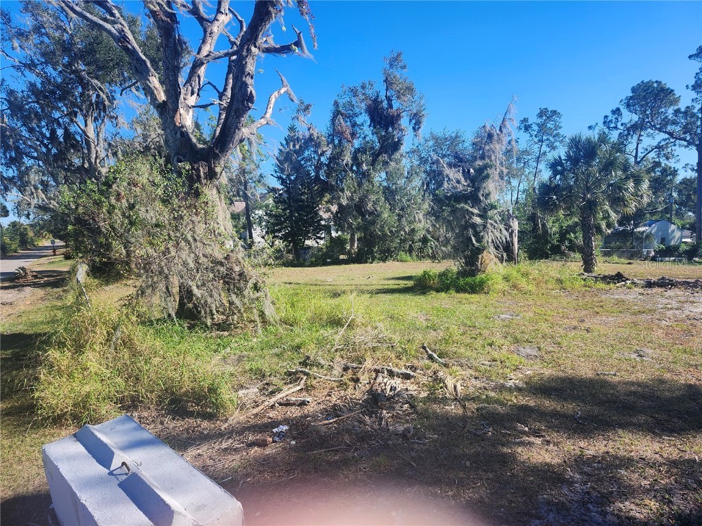 820 NW 9th Street Mulberry FL 33860 W7870436 image11