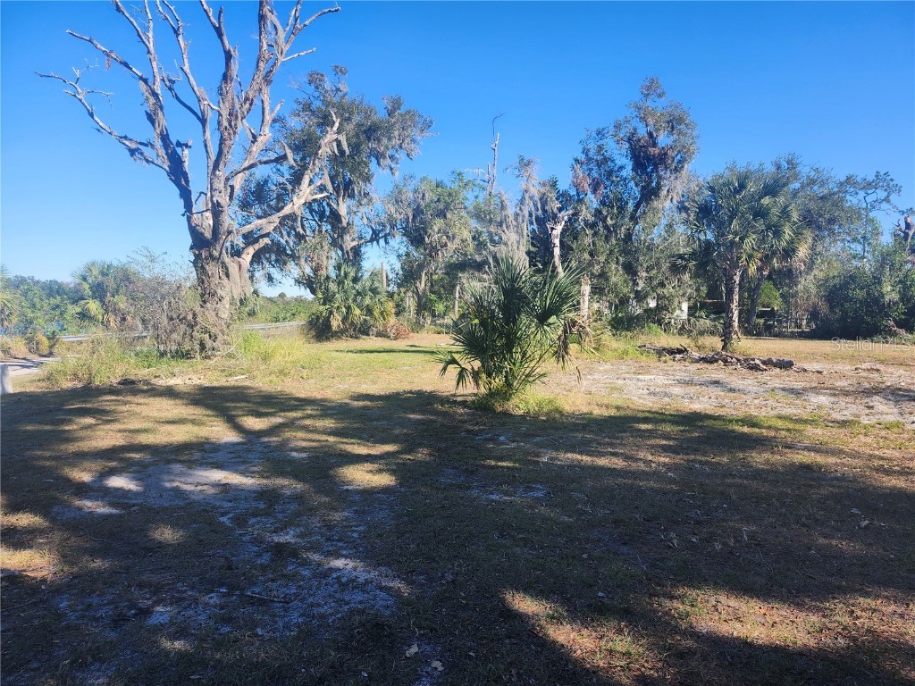 820 NW 9th Street Mulberry FL 33860 W7870436 image12