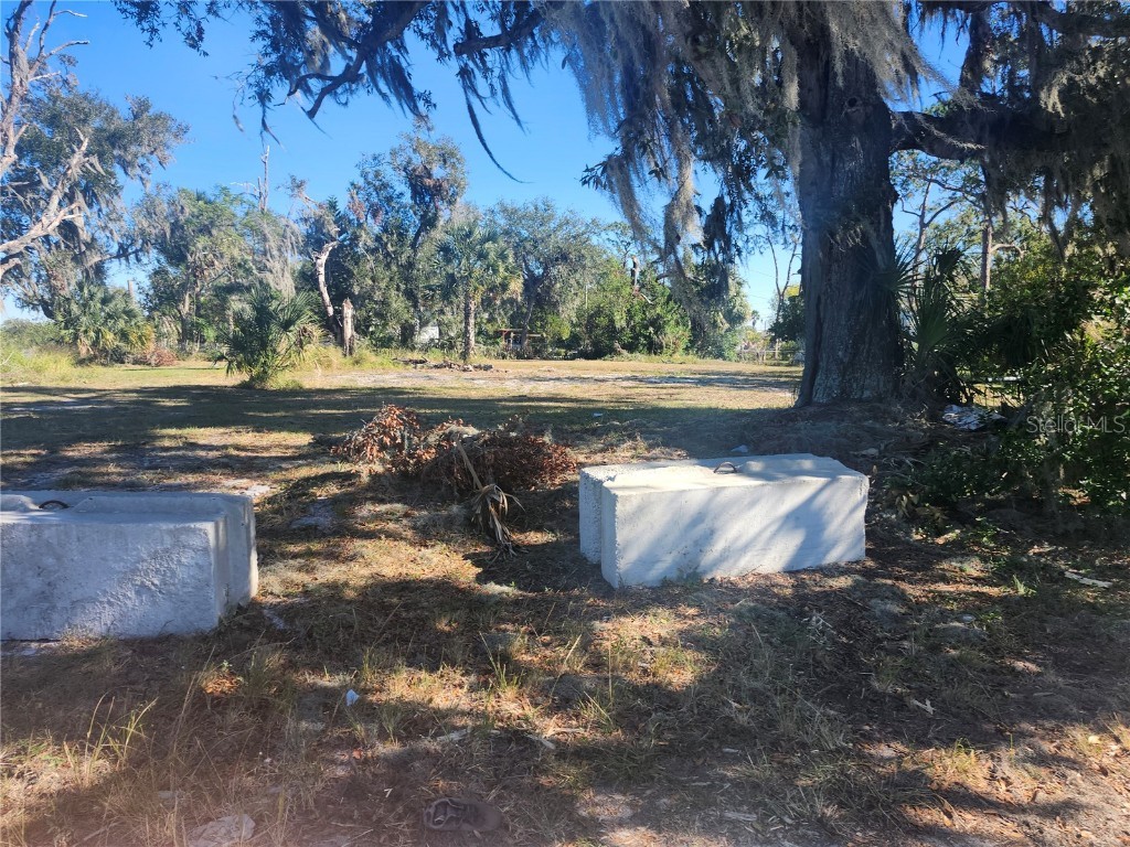 820 NW 9th Street Mulberry FL 33860 W7870436 image6