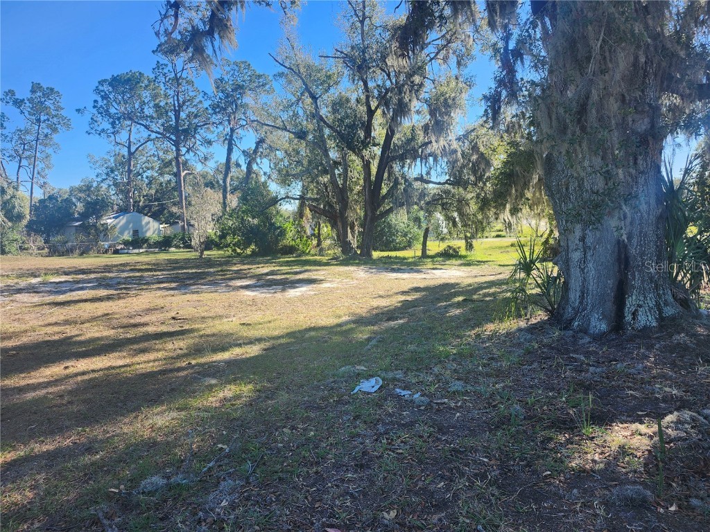 820 NW 9th Street Mulberry FL 33860 W7870436 image7