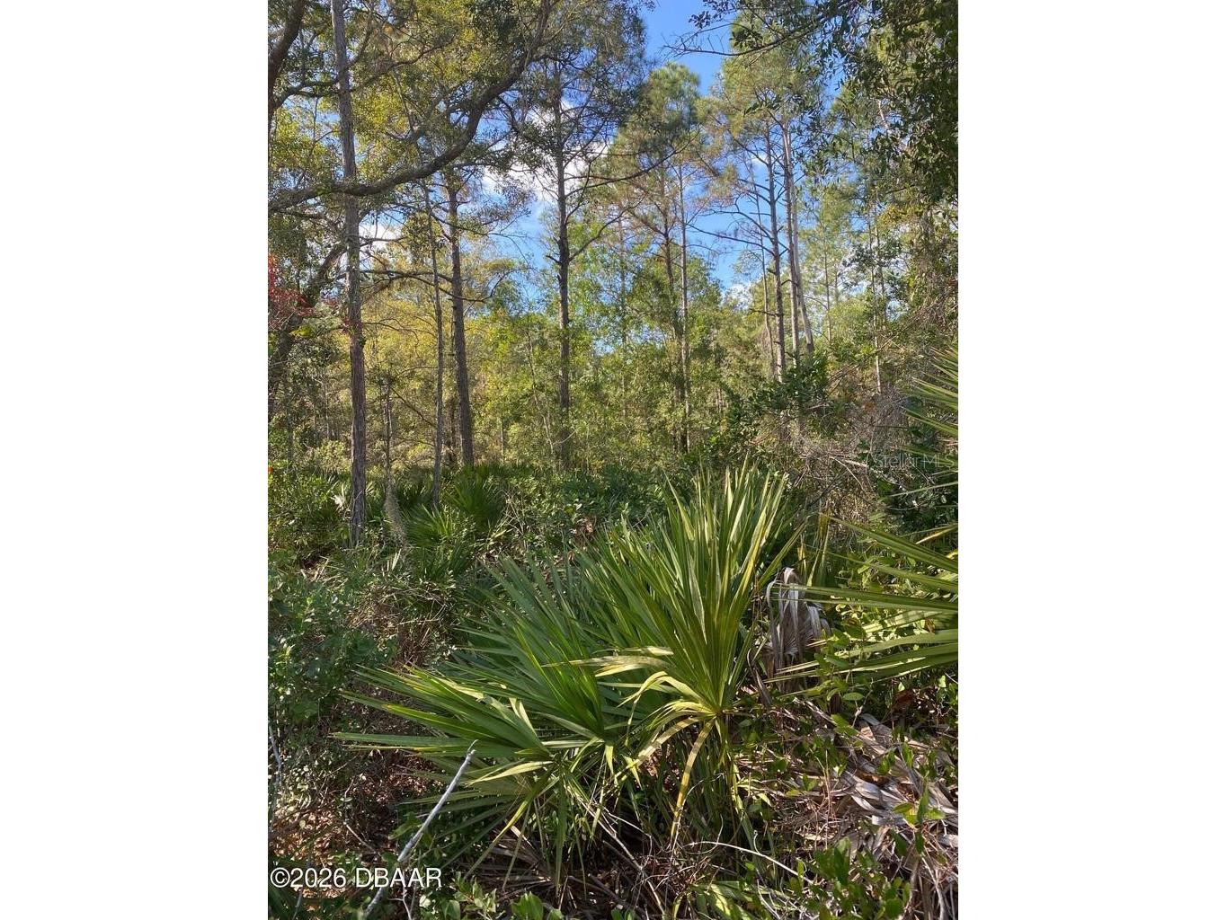 820 Old Bubbly Road Pierson FL 32180 FC318636 image2