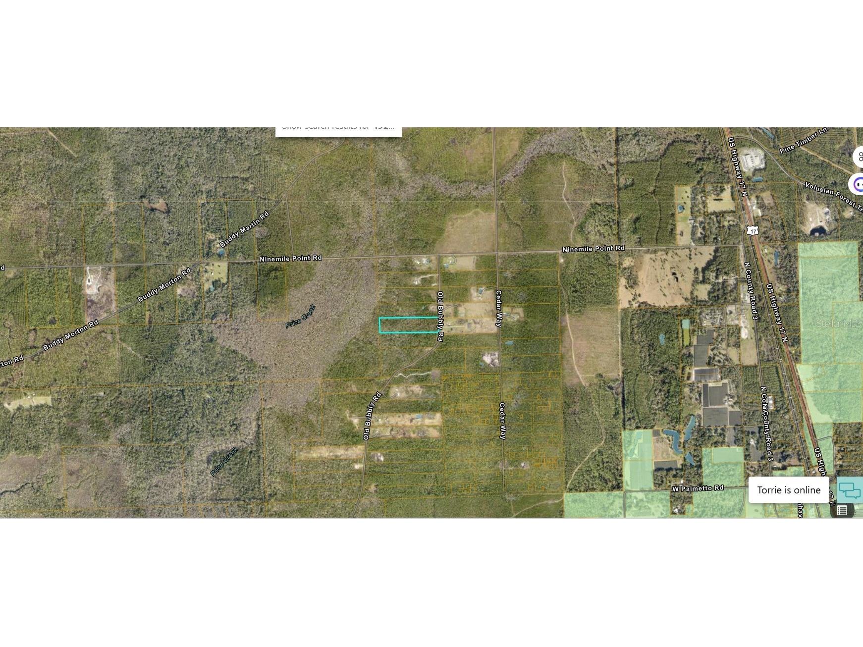 820 Old Bubbly Road Pierson FL 32180 FC318636 image7