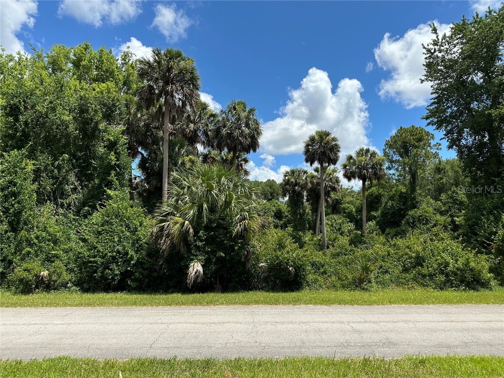 820 Paradise Boulevard Georgetown FL 32139 FC301565 image1