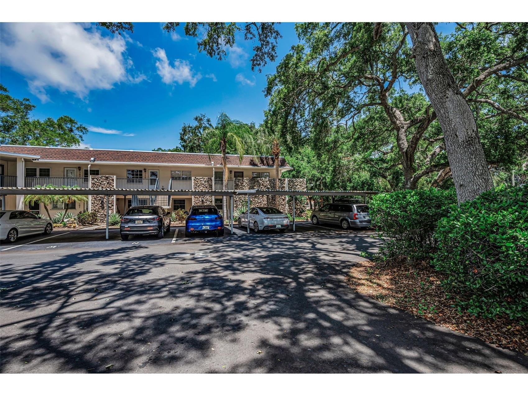 820 Patricia Avenue #109 Dunedin FL 34698 TB8509334 image2