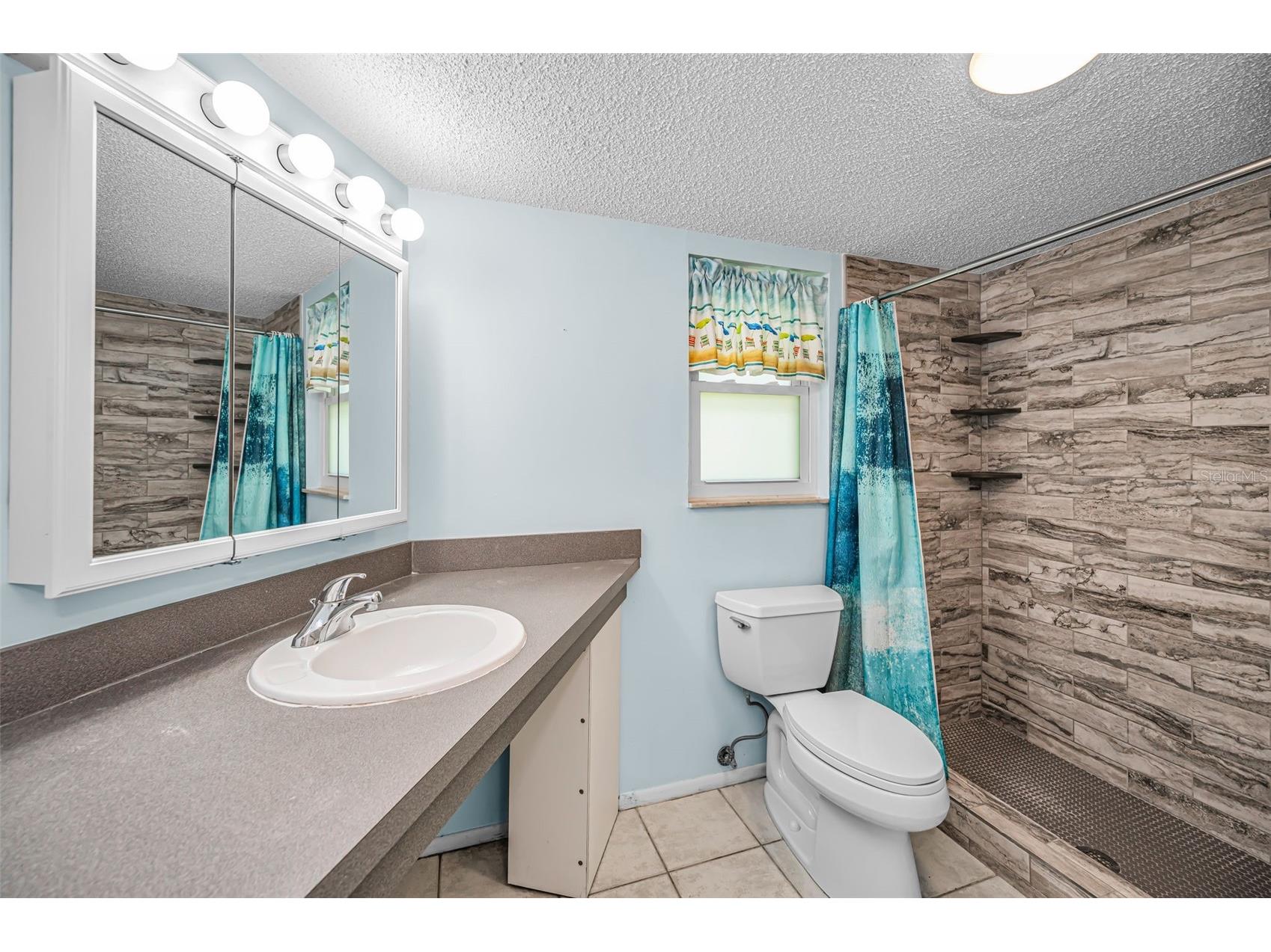 820 Patricia Avenue #109 Dunedin FL 34698 TB8509334 image38