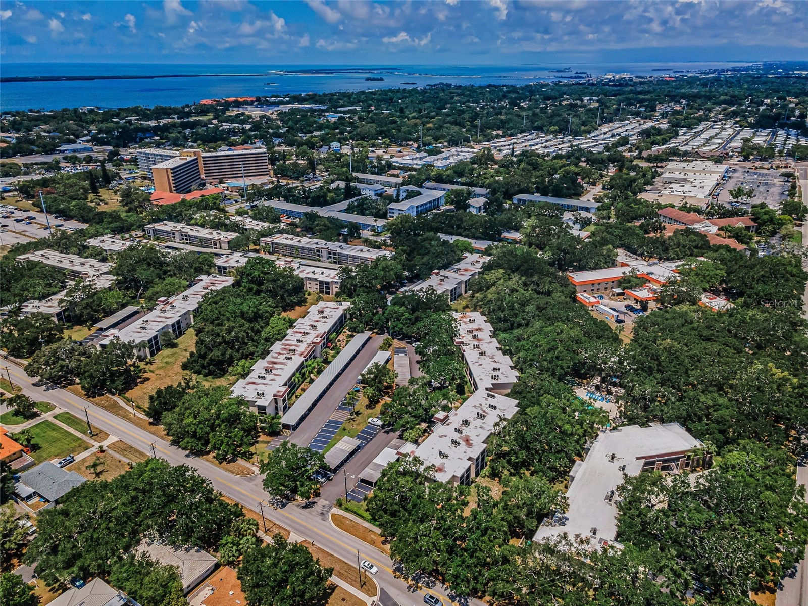 820 Patricia Avenue #109 Dunedin FL 34698 TB8509334 image4