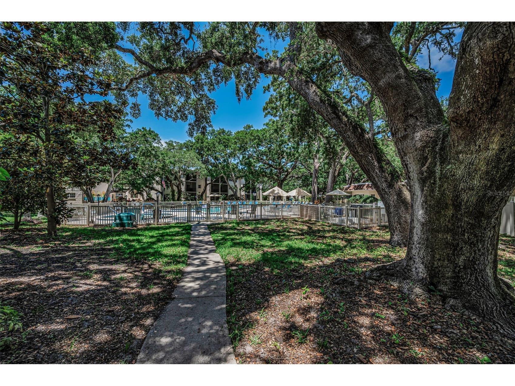 820 Patricia Avenue #109 Dunedin FL 34698 TB8509334 image54