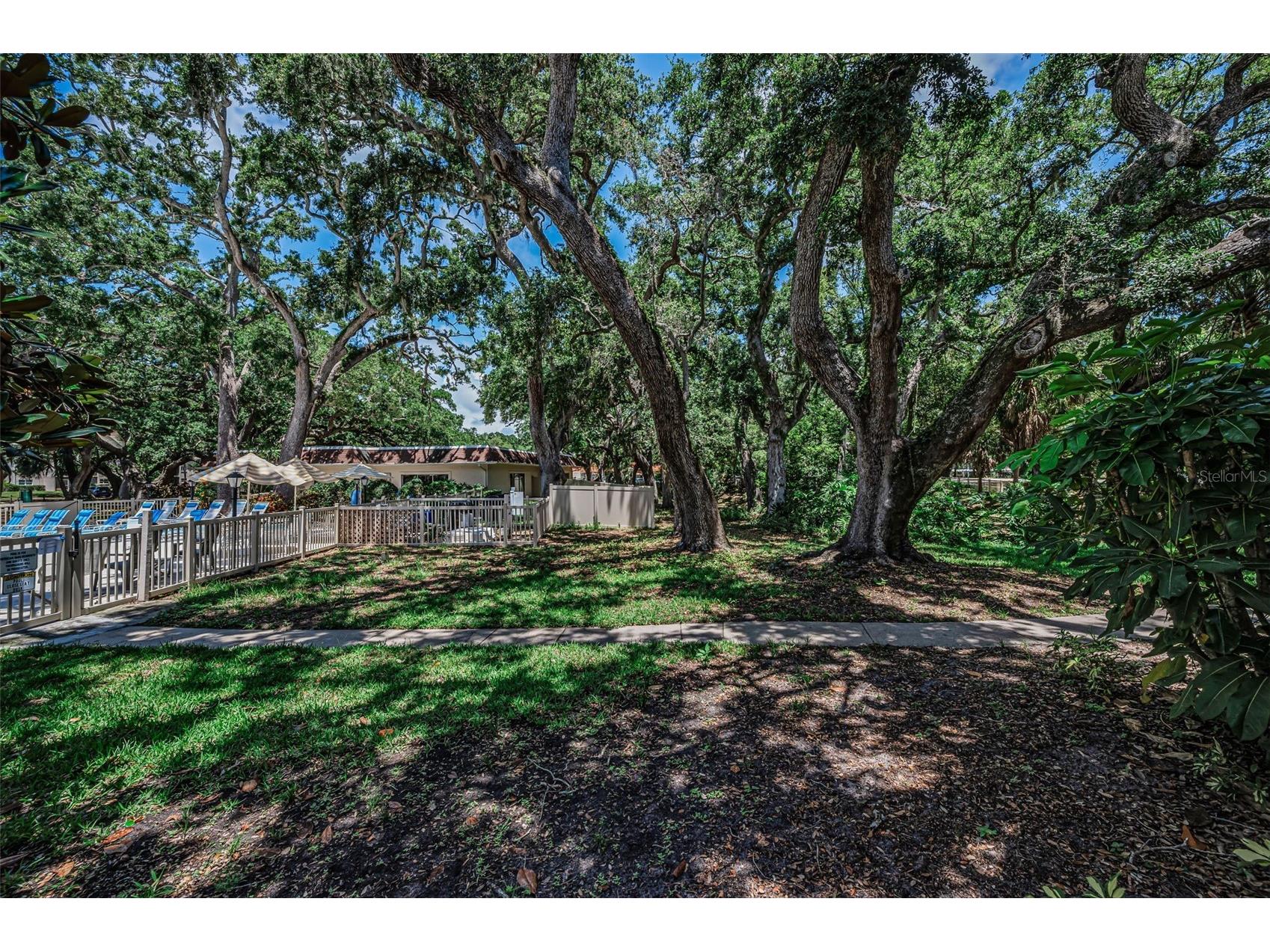 820 Patricia Avenue #109 Dunedin FL 34698 TB8509334 image55