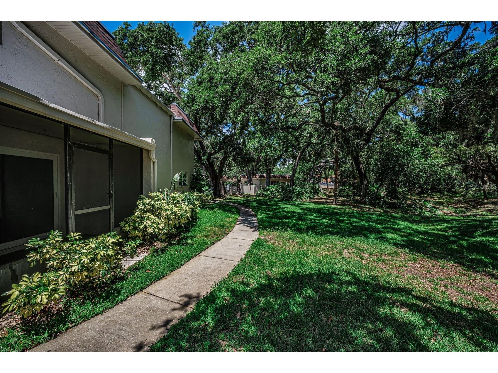 820 Patricia Avenue #109 Dunedin FL 34698 TB8509334 image57