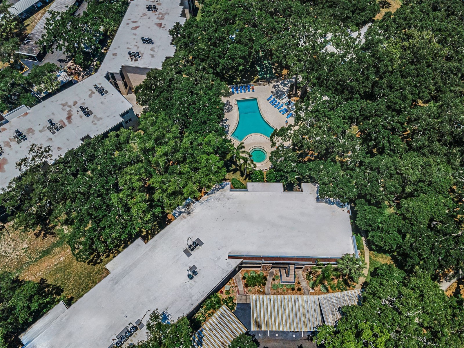 820 Patricia Avenue #109 Dunedin FL 34698 TB8509334 image60