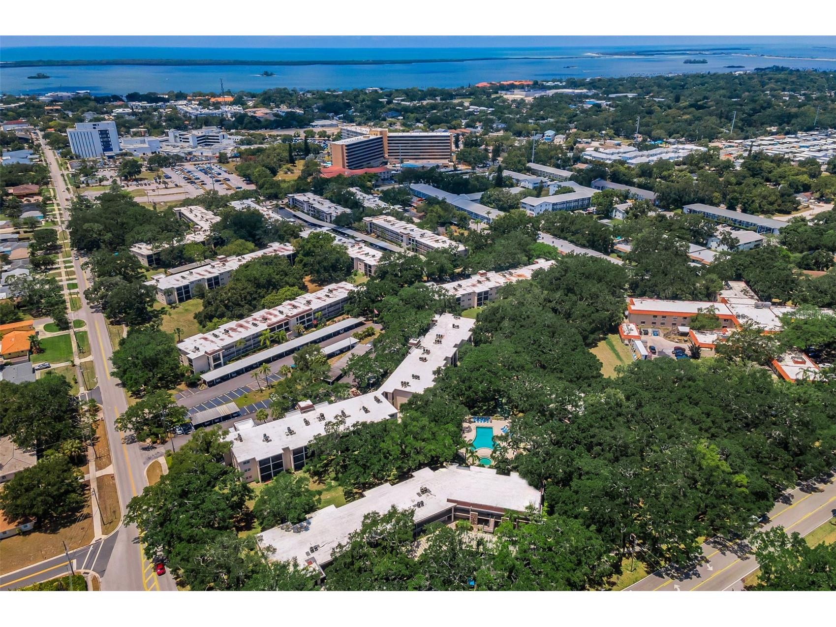 820 Patricia Avenue #109 Dunedin FL 34698 TB8509334 image68