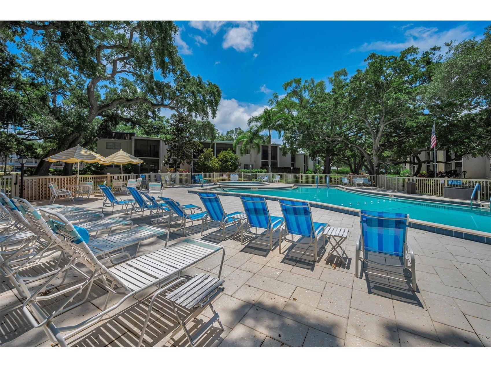 820 Patricia Avenue #109 Dunedin FL 34698 TB8509334 image69
