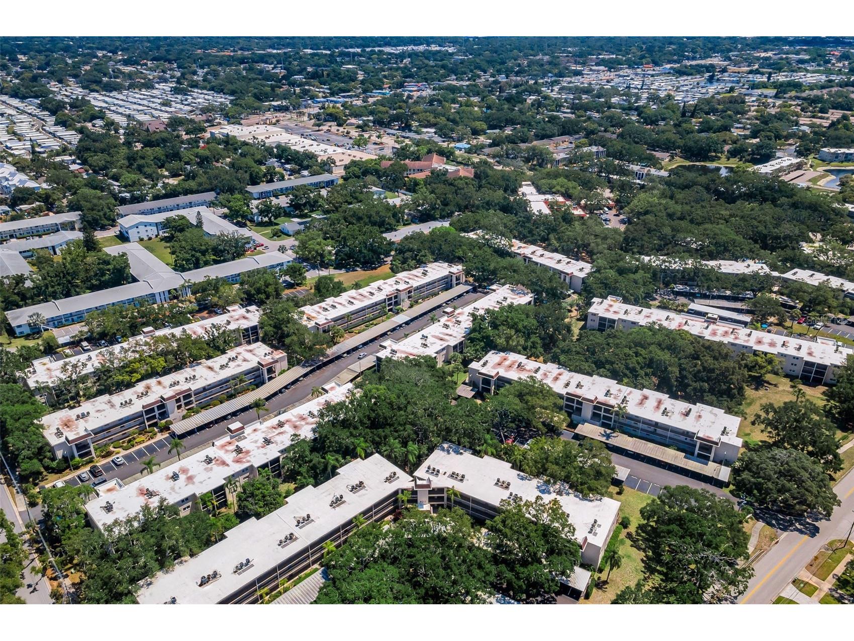 820 Patricia Avenue #109 Dunedin FL 34698 TB8509334 image72