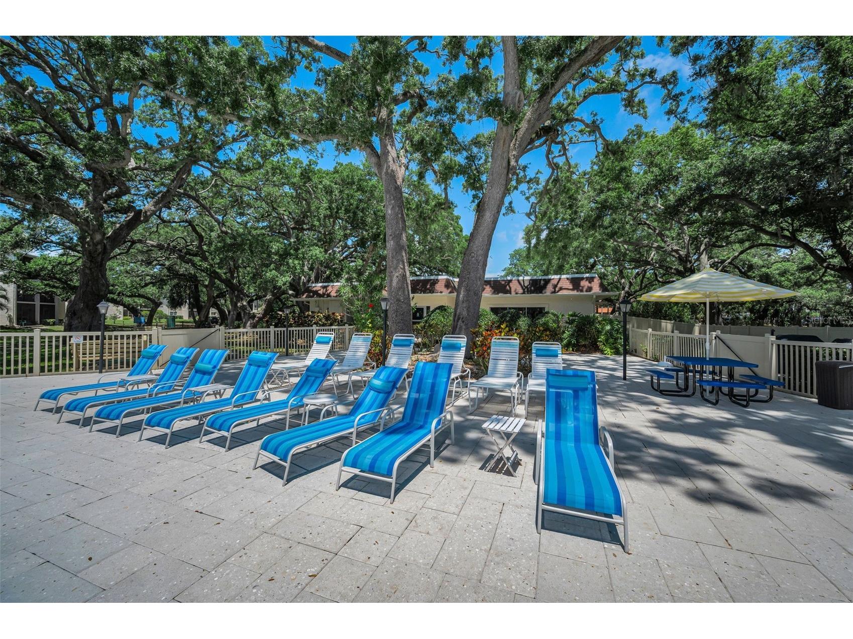 820 Patricia Avenue #109 Dunedin FL 34698 TB8509334 image73