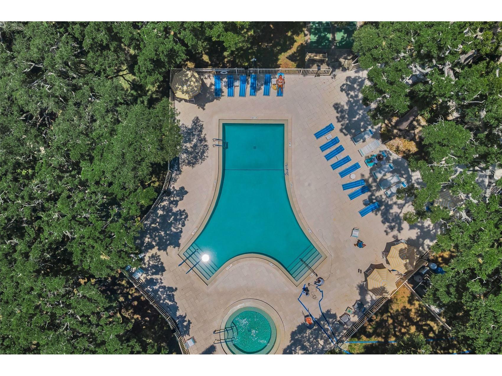 820 Patricia Avenue #109 Dunedin FL 34698 TB8509334 image83