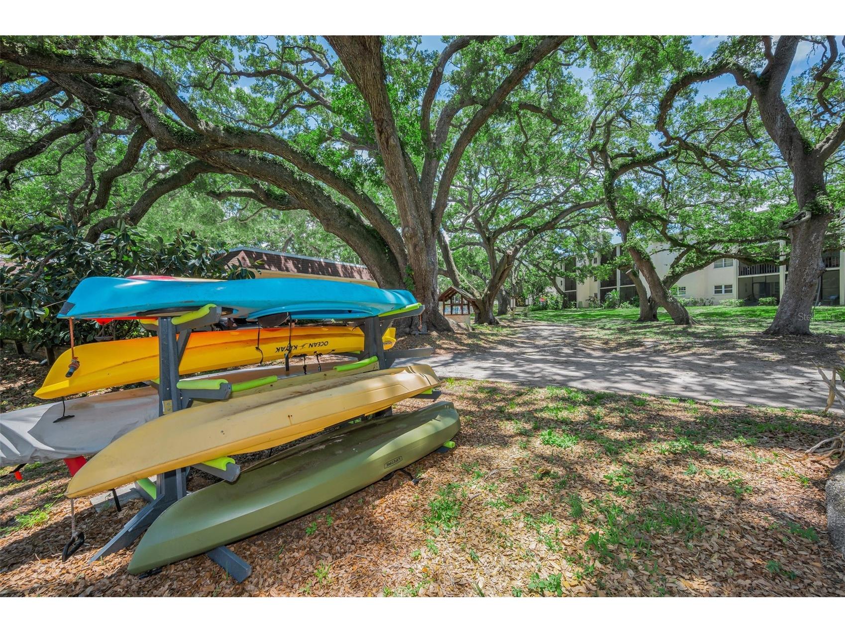 820 Patricia Avenue #109 Dunedin FL 34698 TB8509334 image86