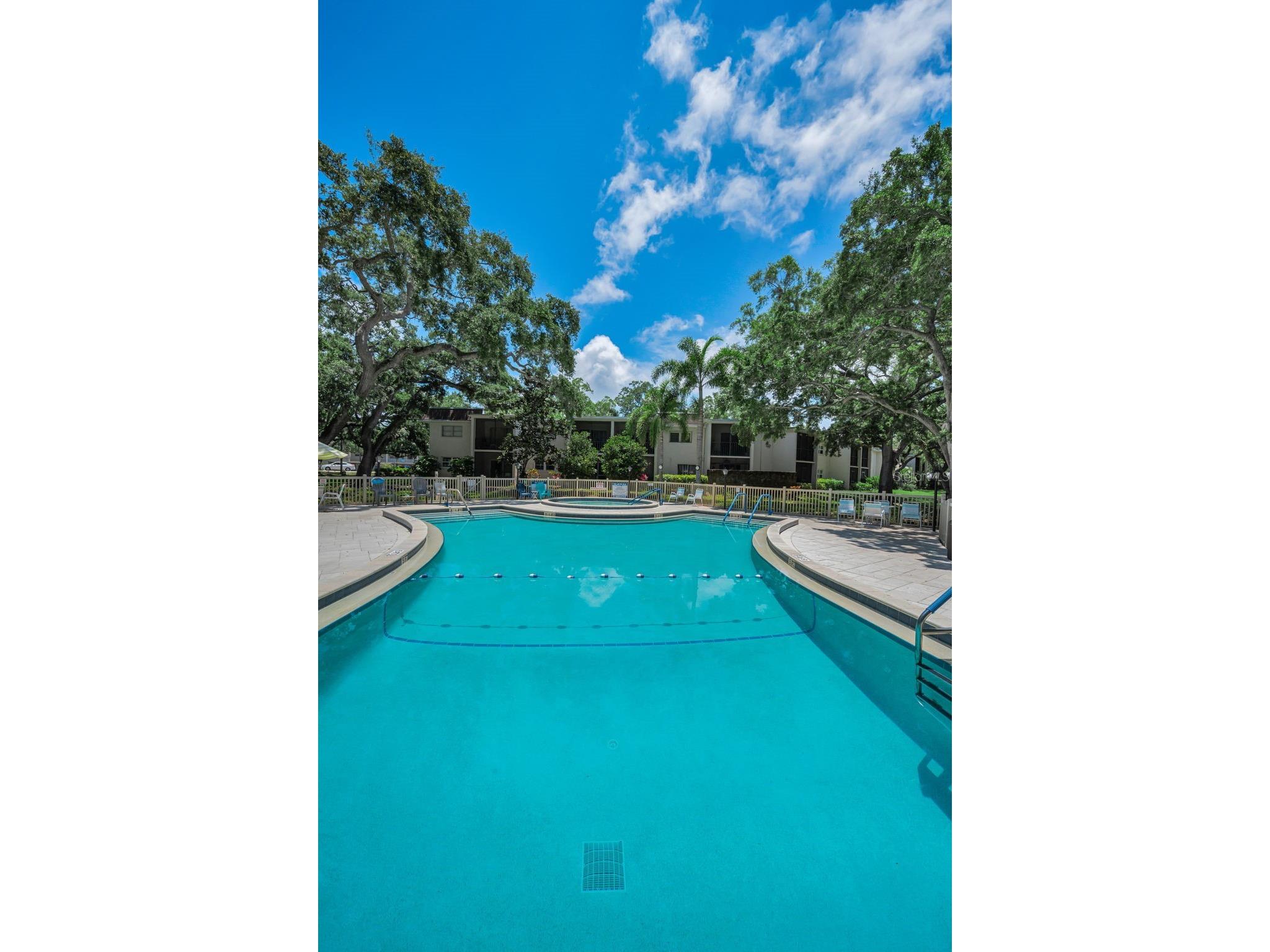 820 Patricia Avenue #109 Dunedin FL 34698 TB8509334 image87