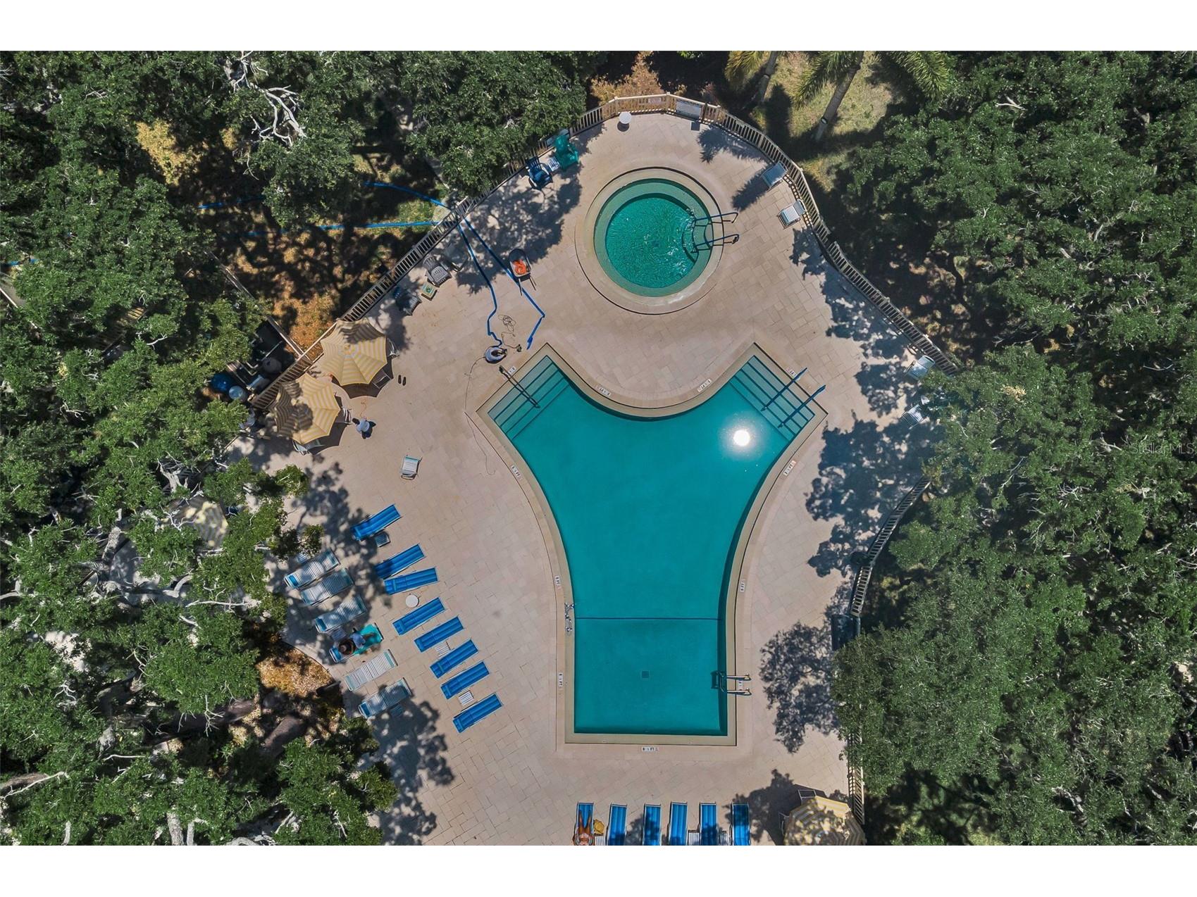 820 Patricia Avenue #109 Dunedin FL 34698 TB8509334 image88