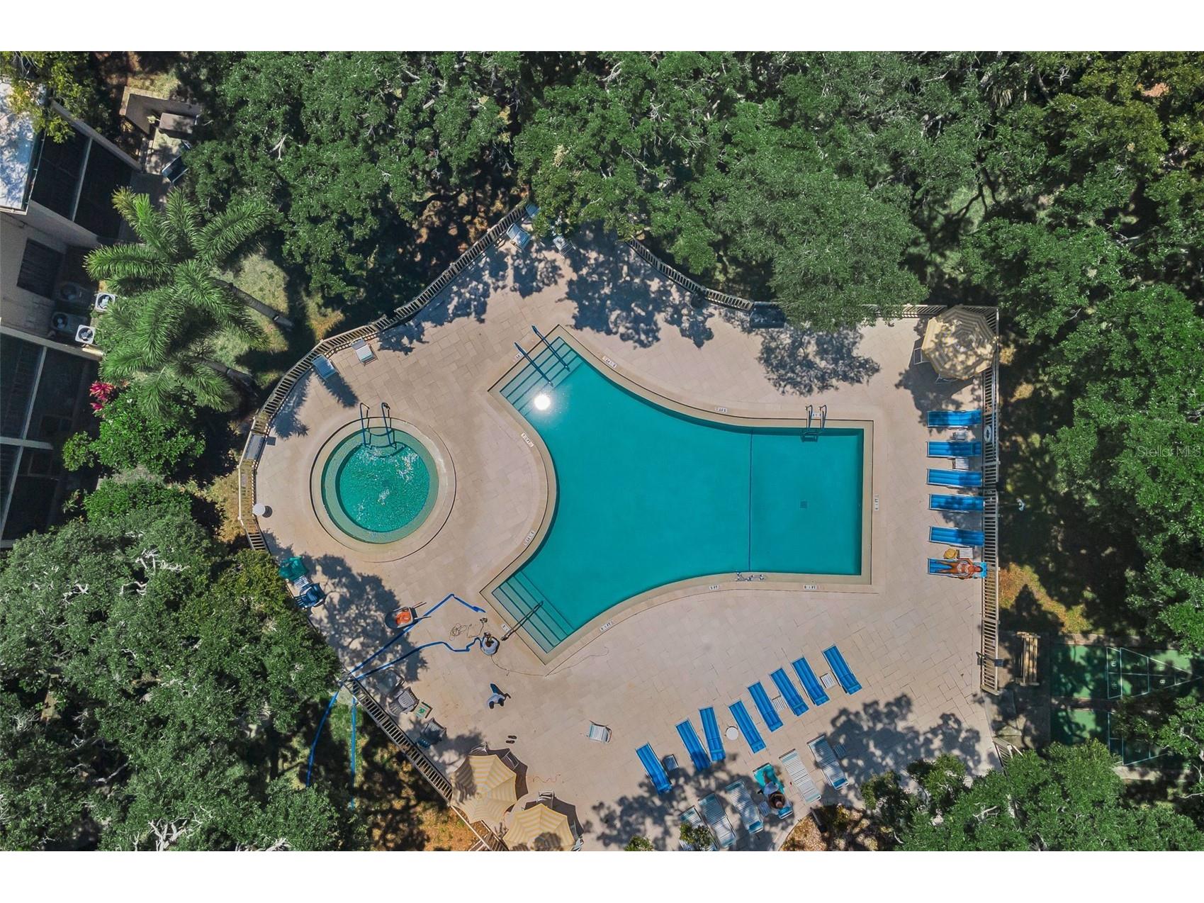 820 Patricia Avenue #109 Dunedin FL 34698 TB8509334 image89