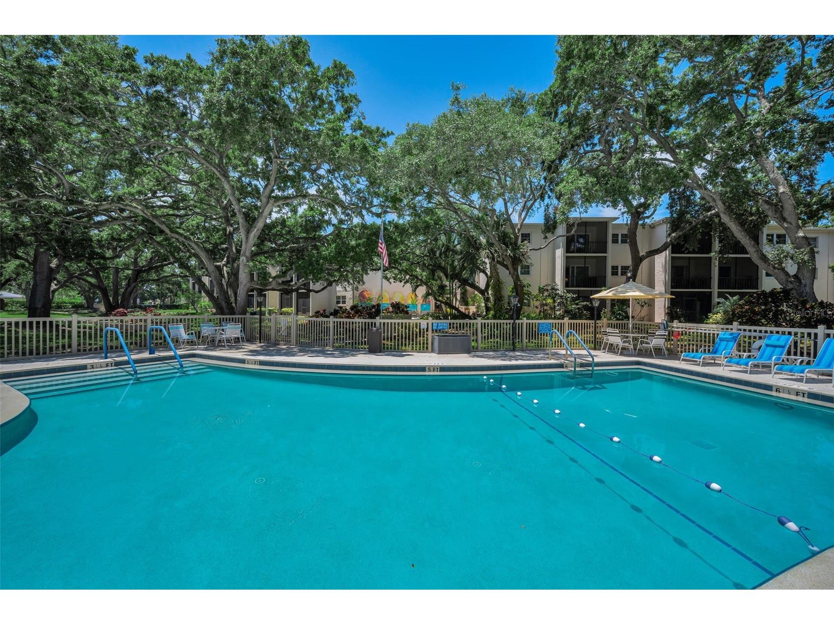 820 Patricia Avenue #109 Dunedin FL 34698 TB8509334 image91