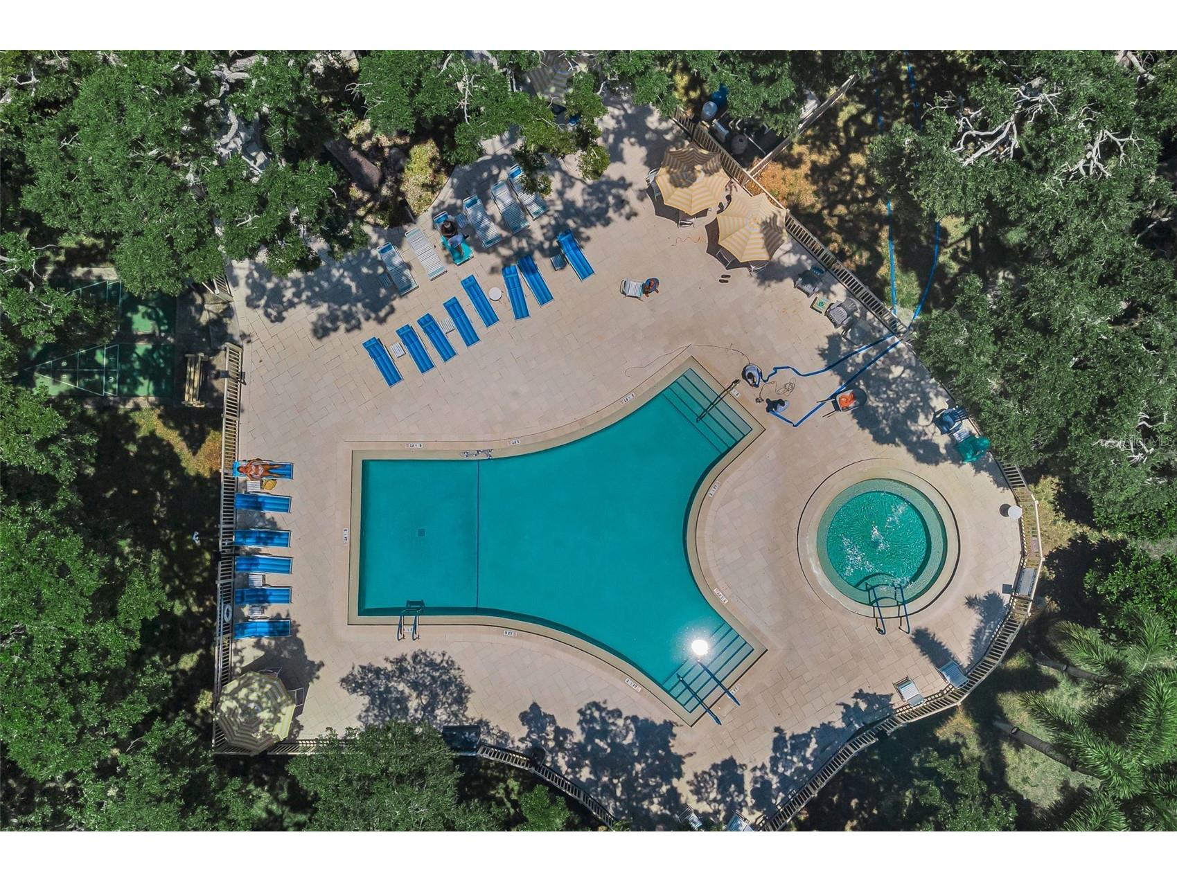 820 Patricia Avenue #109 Dunedin FL 34698 TB8509334 image94