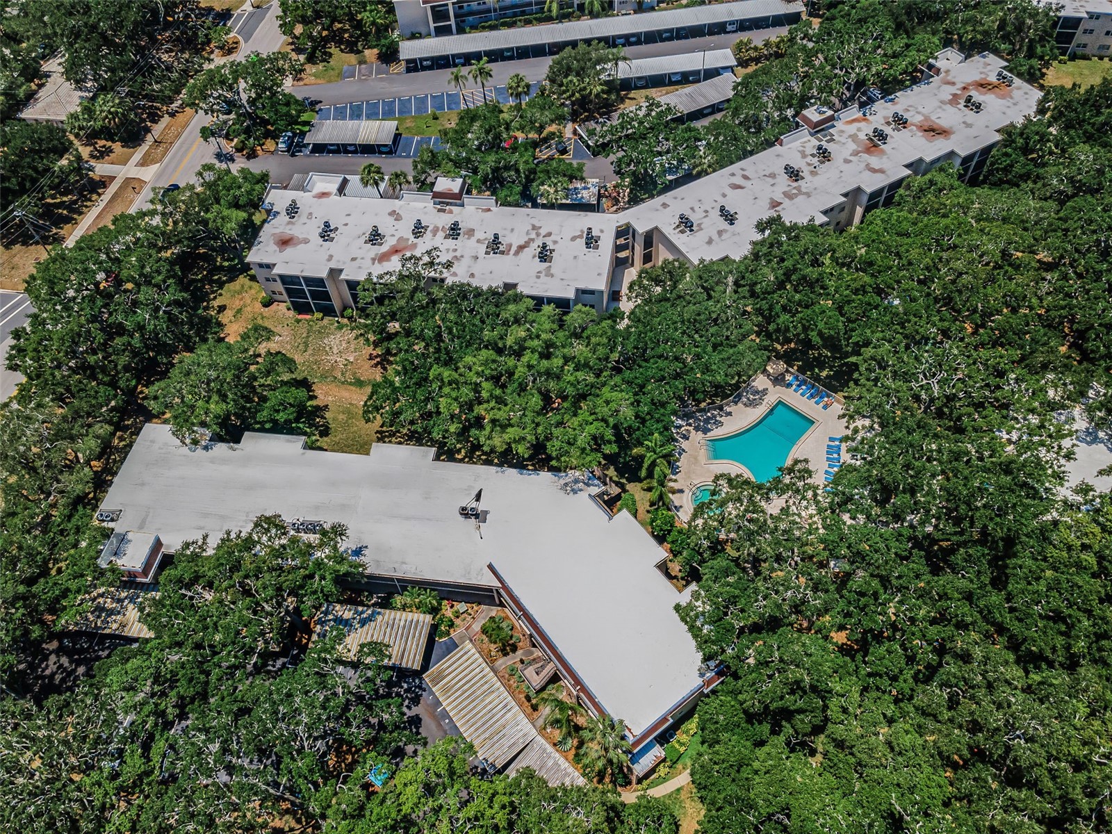 820 Patricia Avenue #109 Dunedin FL 34698 TB8509334 image96
