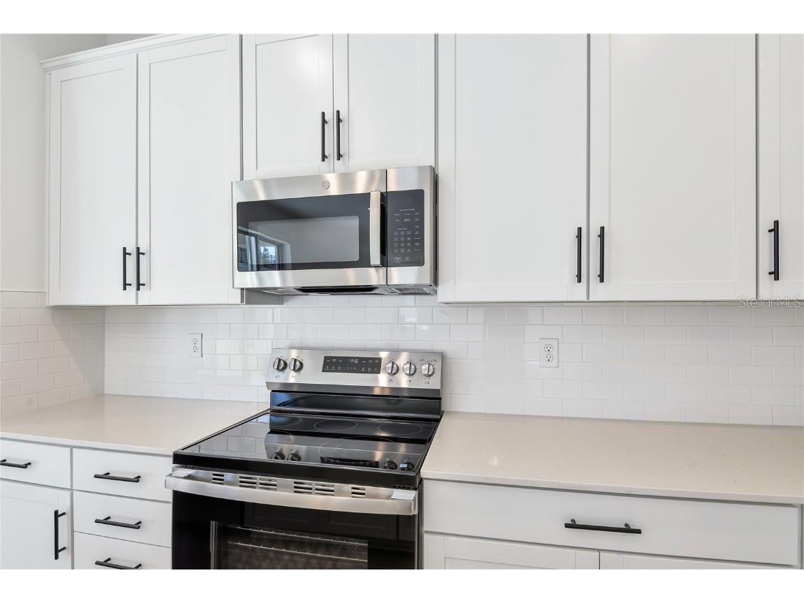 820 Silver Ridge Lane Mount Dora FL 32757 S5140274 image8