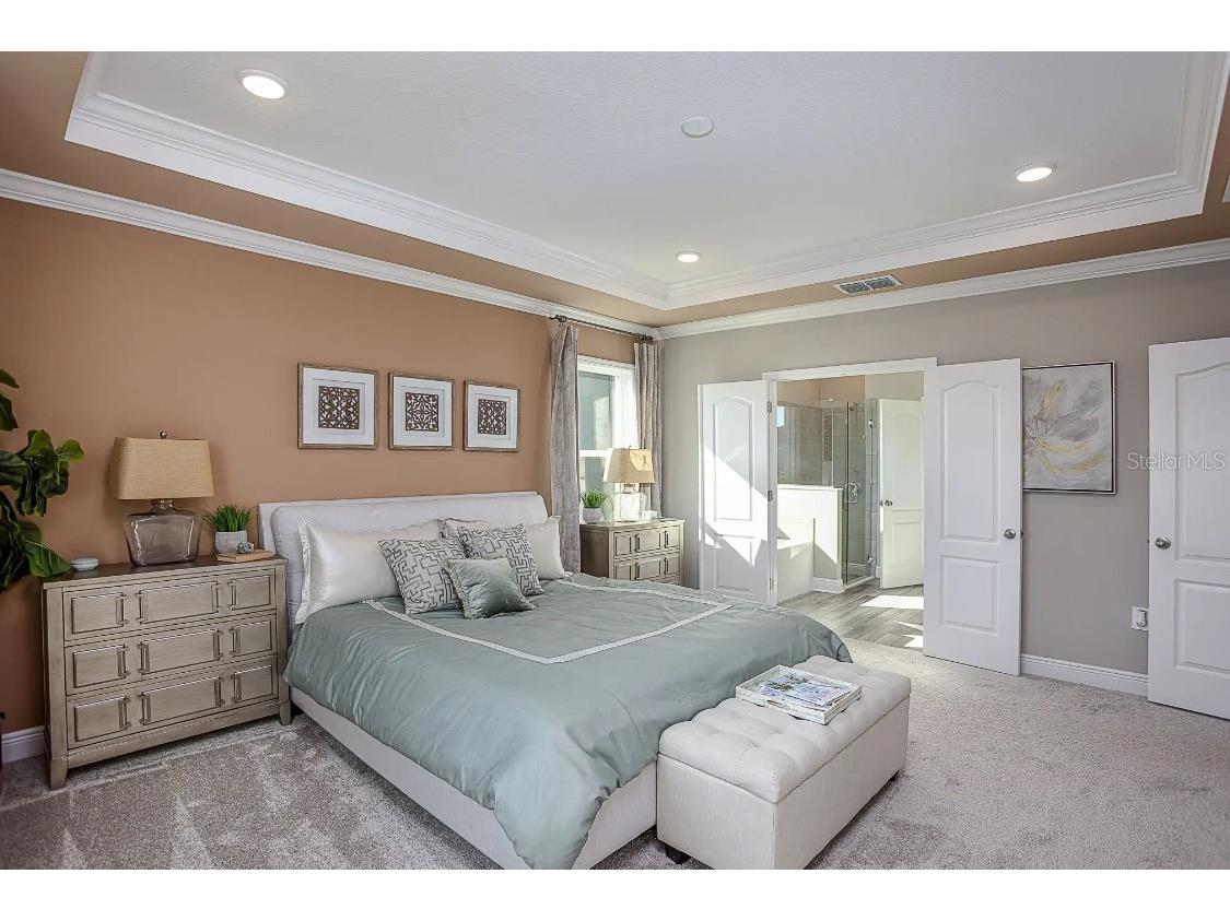 820 Sunshower Drive Lady Lake FL 32159 O6375076 image13