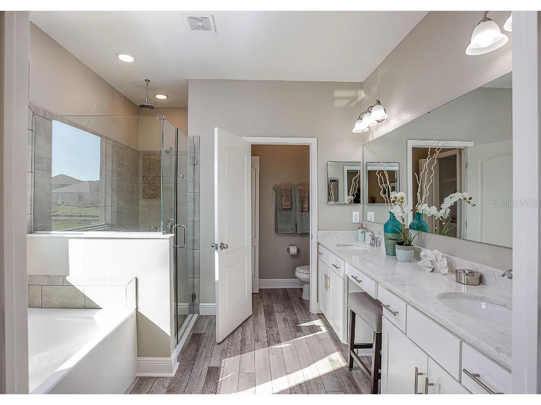 820 Sunshower Drive Lady Lake FL 32159 O6375076 image15