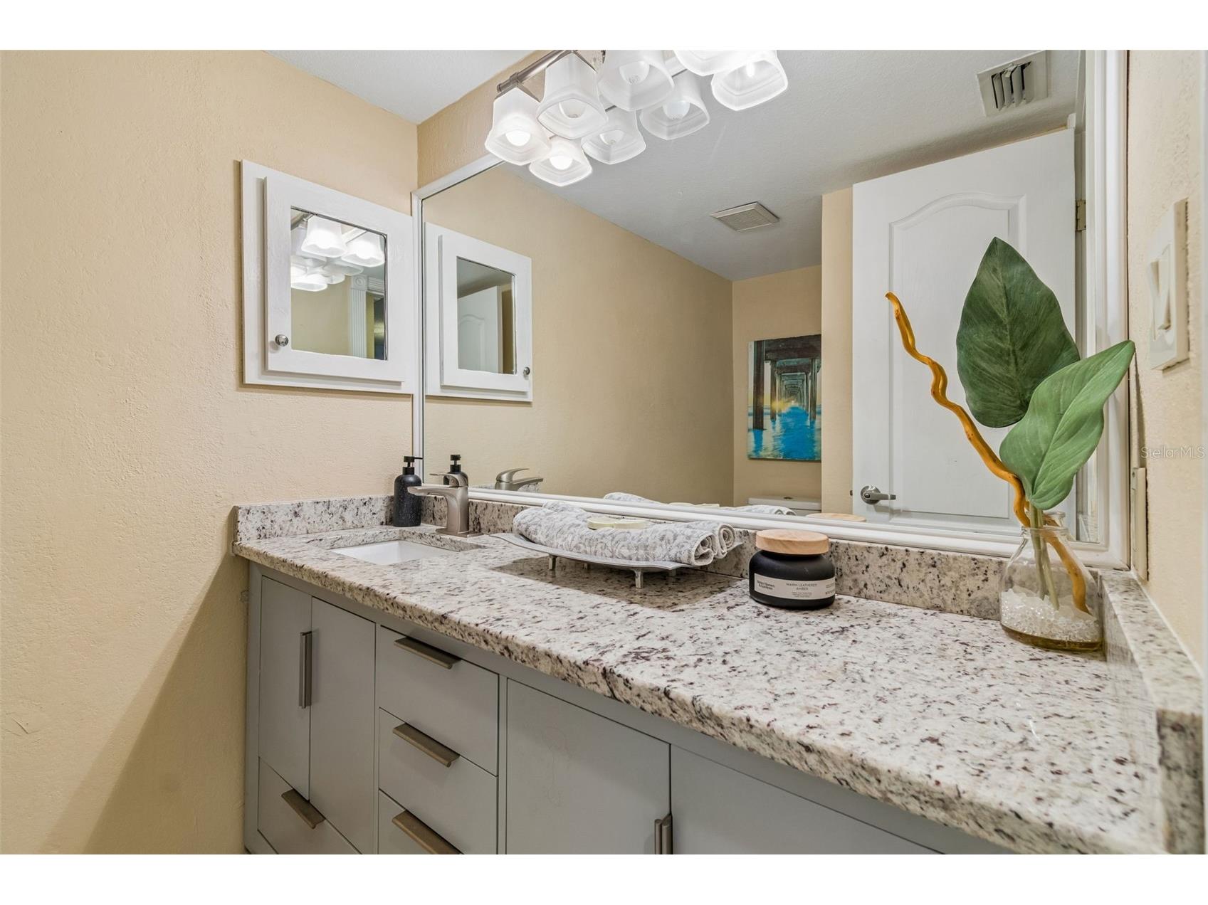 820 Symphony Isles Boulevard Apollo Beach FL 33572 TB8527405 image20