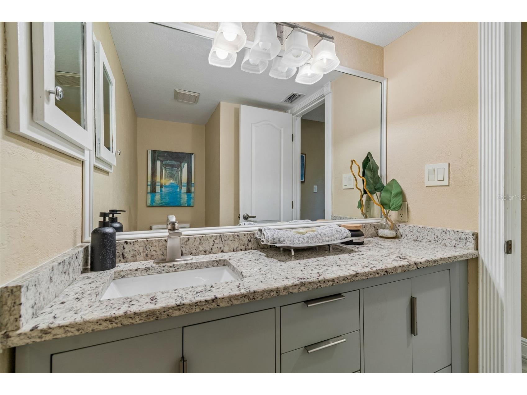 820 Symphony Isles Boulevard Apollo Beach FL 33572 TB8527405 image21