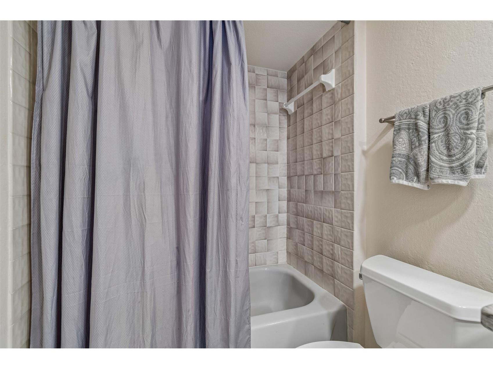 820 Symphony Isles Boulevard Apollo Beach FL 33572 TB8527405 image38