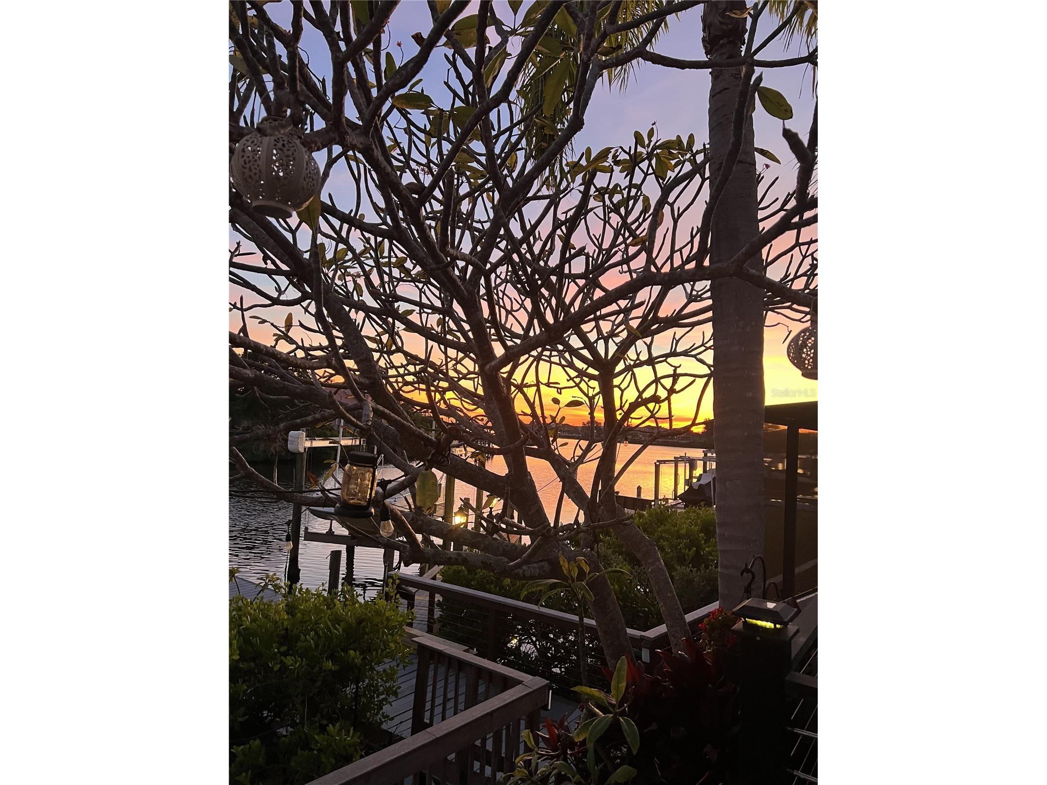 820 Symphony Isles Boulevard Apollo Beach FL 33572 TB8527405 image52