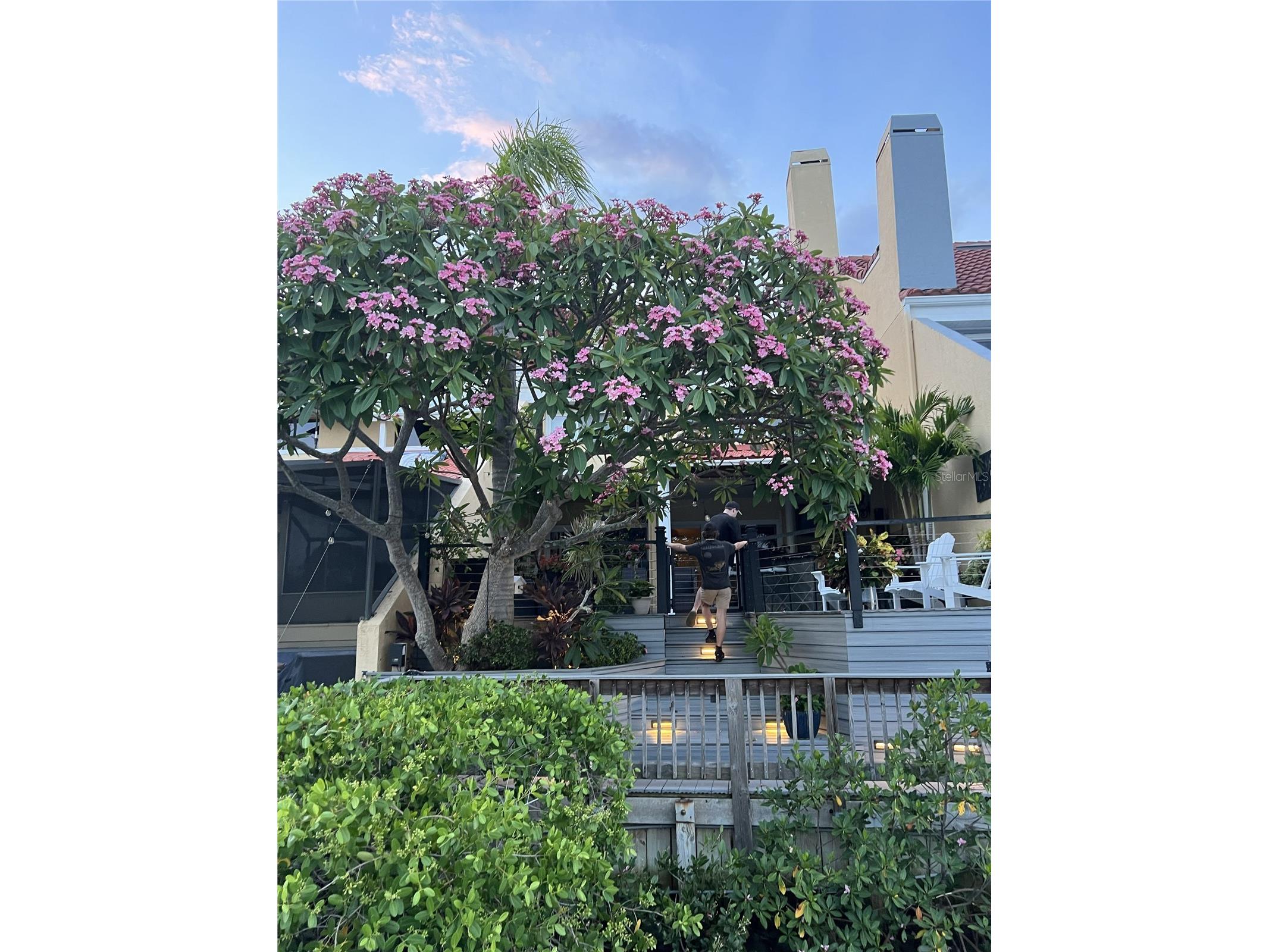 820 Symphony Isles Boulevard Apollo Beach FL 33572 TB8527405 image60