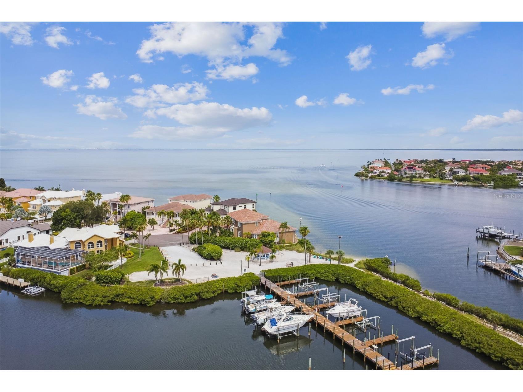 820 Symphony Isles Boulevard Apollo Beach FL 33572 TB8527405 image86