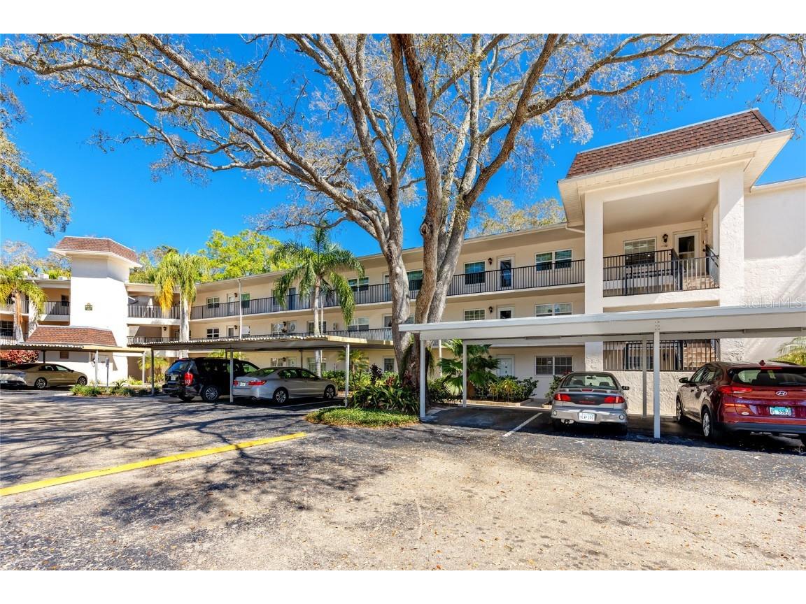 820 Virginia Street #113 Dunedin FL 34698 U8231310 image1