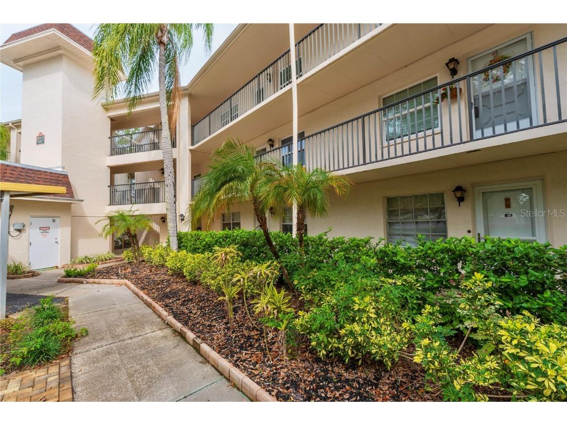 820 Virginia Street #210 Dunedin FL 34698 U8227102 image1