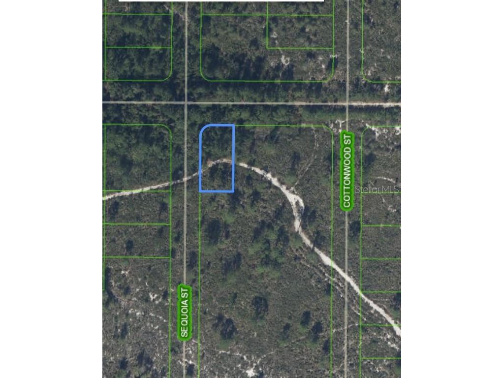 820 Washington Boulevard Lake Placid FL 33852 O6207621 image1