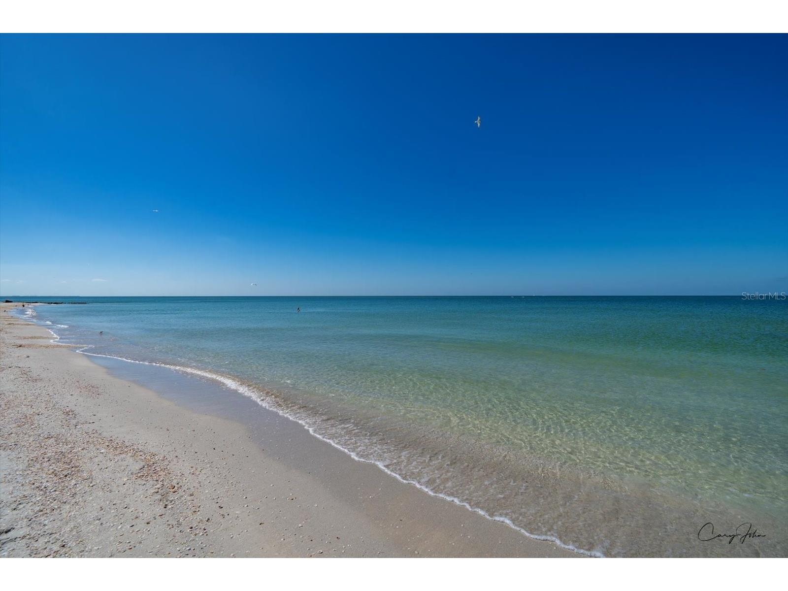 8200 Bayshore Drive #9 Treasure Island FL 33706 TB8439563 image24