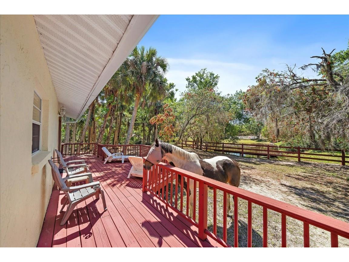 8200 Ibis Street Sarasota FL 34241 A4647243 image28