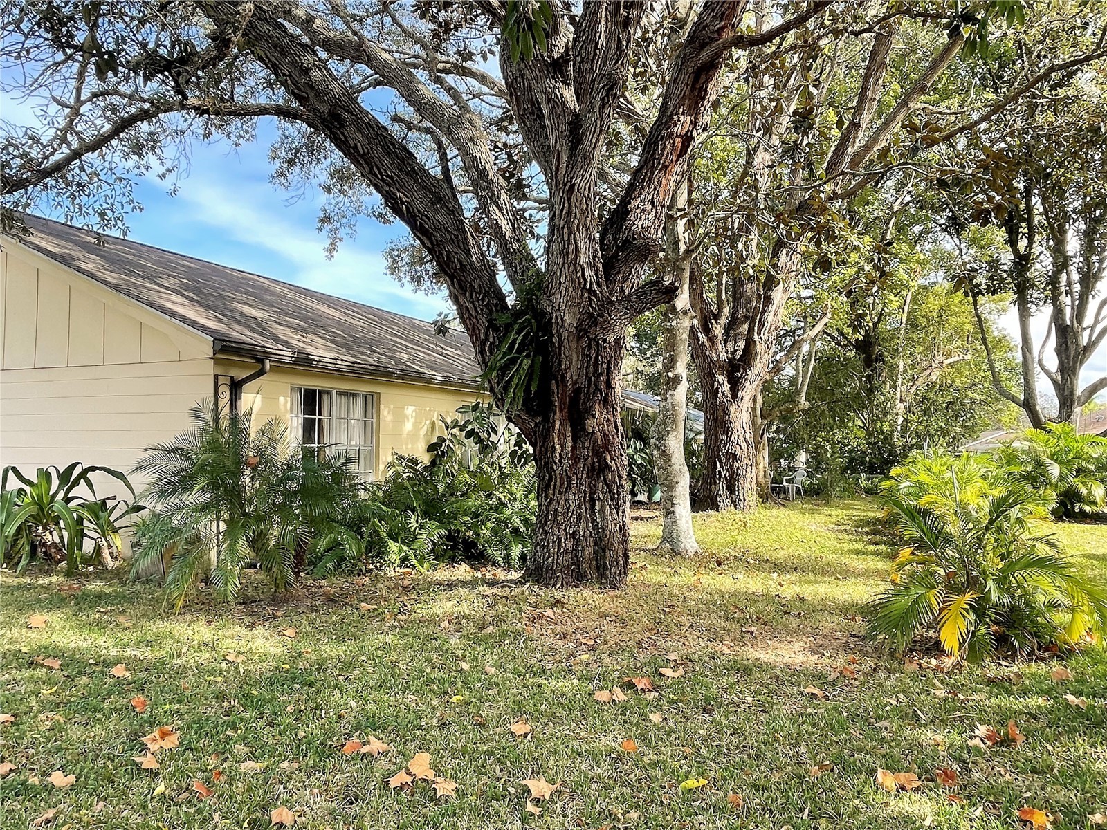 8200 Mill Creek Lane Hudson FL 34667 TB8461188 image29