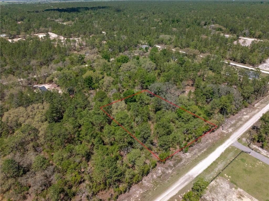 8200 SW 125th Court Road Dunnellon FL 34432 OM676214 image1