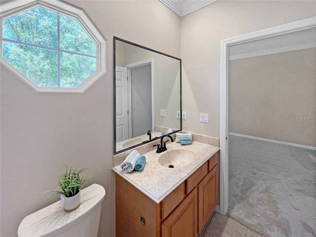 8200 Tivoli Drive Orlando FL 32836 - LAKE SERENE O6301482 image43